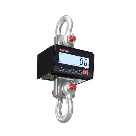 Rlws RL 101-12K Below The Hook Overhead Scale 219147